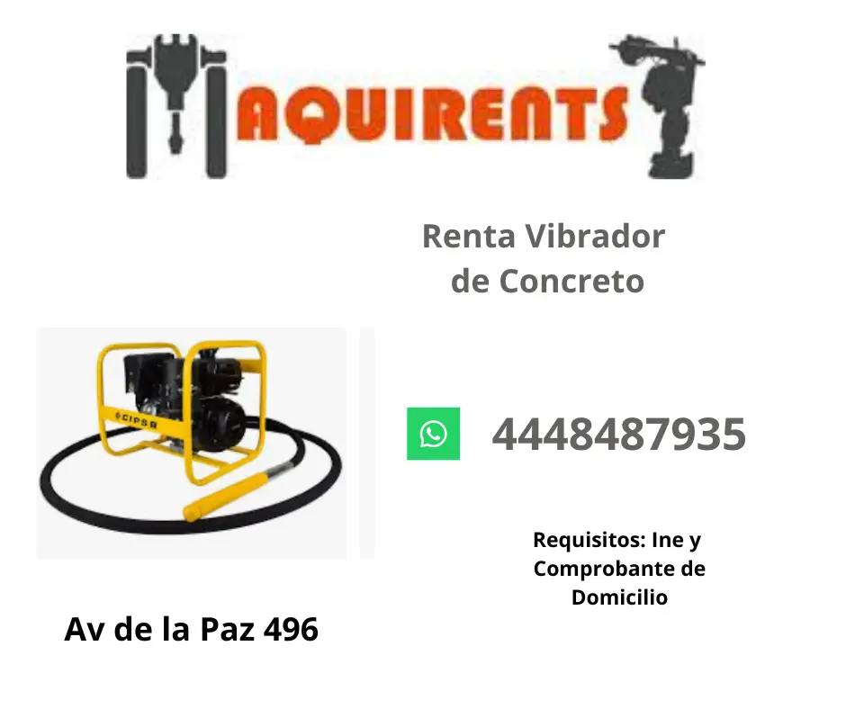 Vibrador de Concreto 01